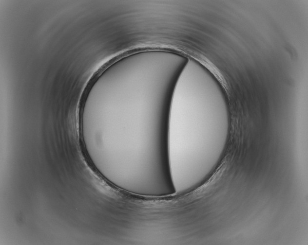 X0000113150988200909040928