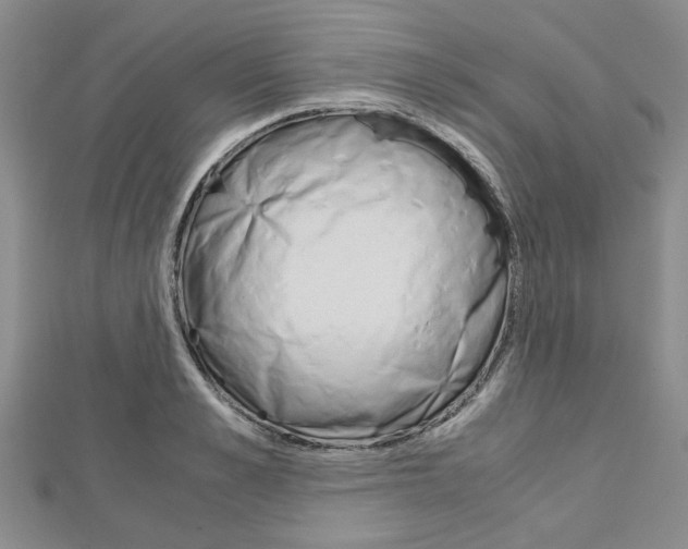 X0000113150989200909040928