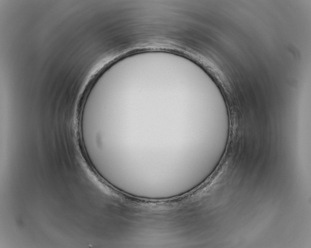 X0000113150990200909040928