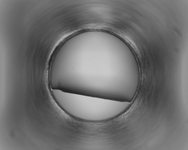 X0000113150992200909040928