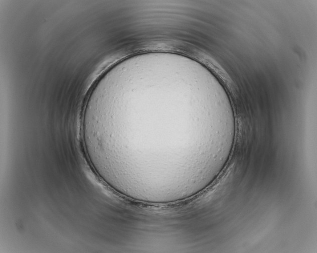 X0000113150994200909040928