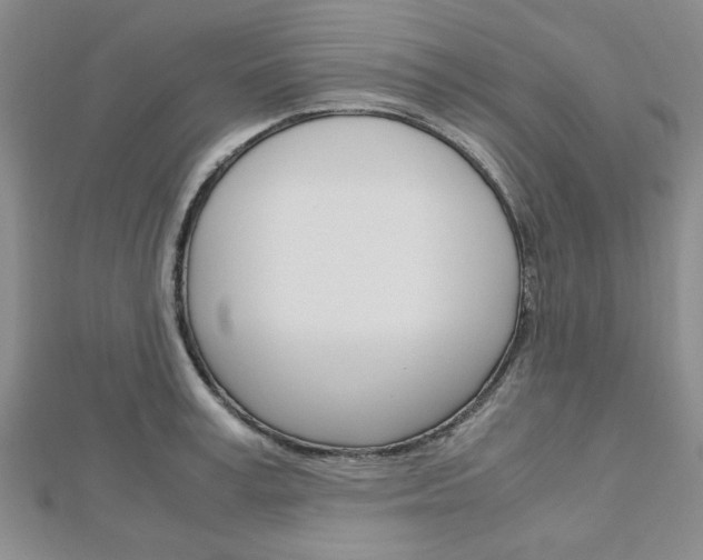 X0000113150995200909040928