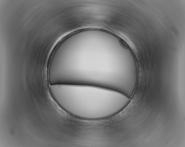 X0000113150996200909040928