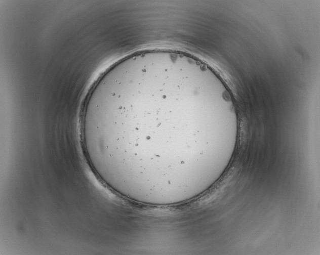 X0000113150998200909040928