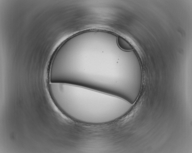 X0000113150999200909040928