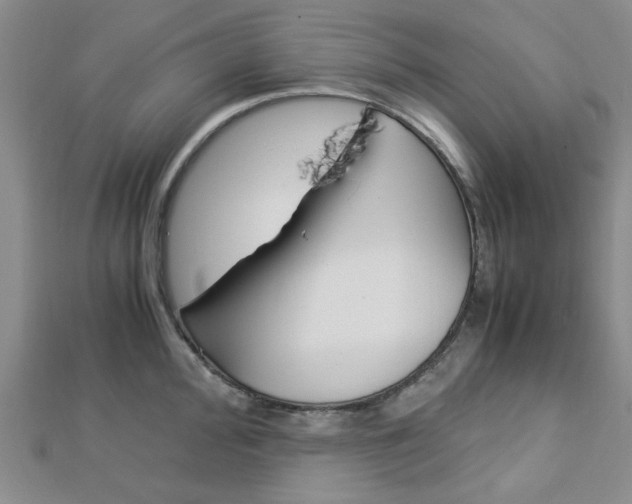 X0000113151000200909040928