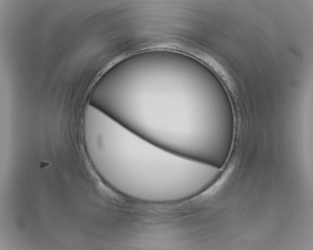 X0000113151001200909040928