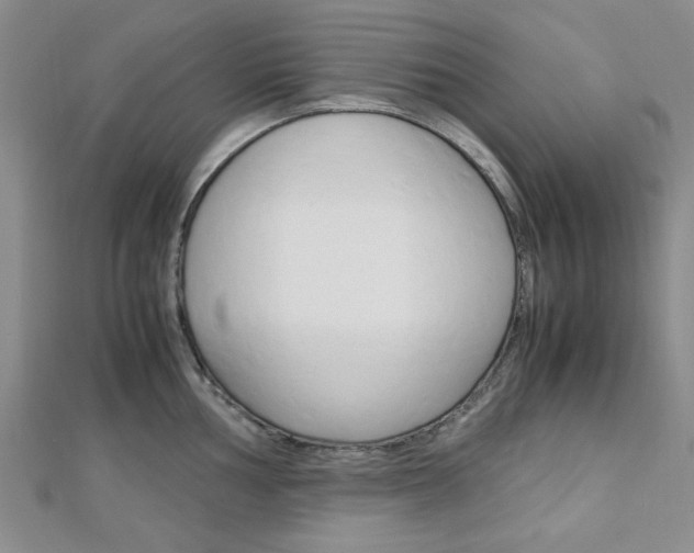 X0000113151002200909040928