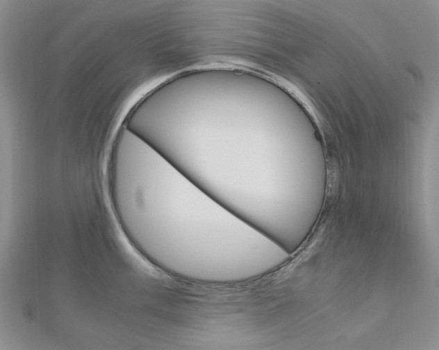 X0000113151003200909040928