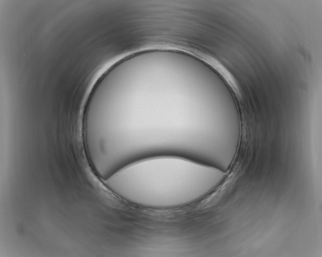 X0000113151004200909040928