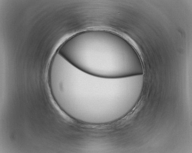 X0000113151005200909040928