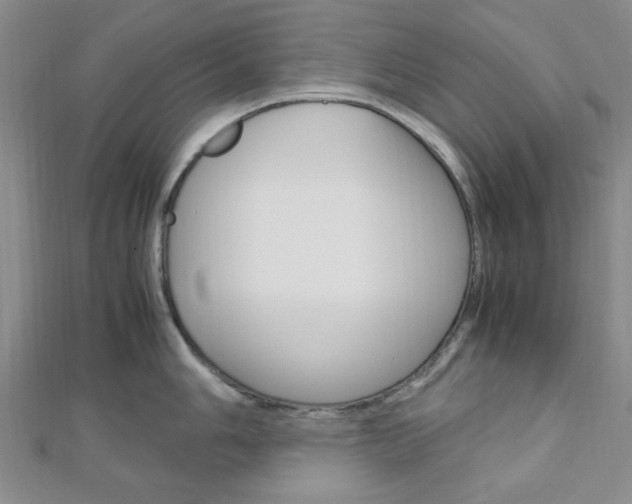 X0000113151006200909040928