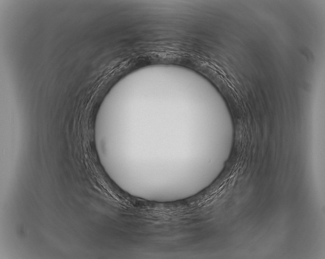 X0000113151009200909040927