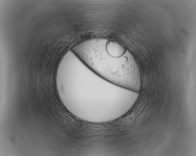 X0000113151010200909040927