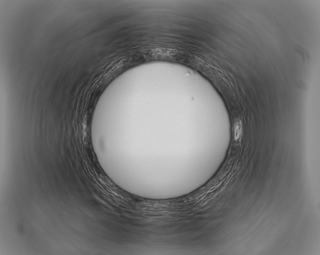 X0000113151011200909040927