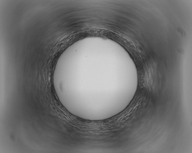 X0000113151013200909040927