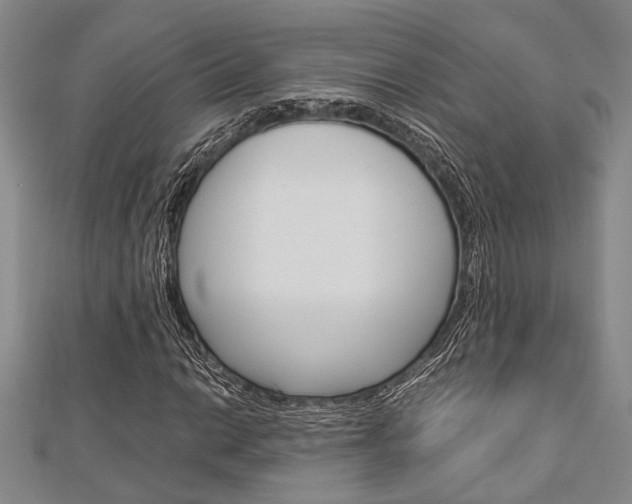 X0000113151014200909040927