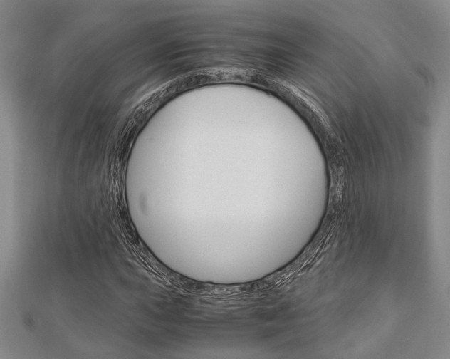 X0000113151015200909040927