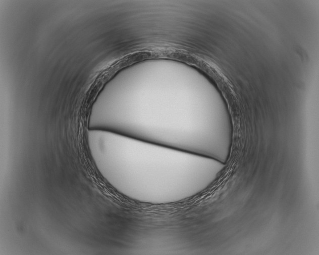 X0000113151016200909040927