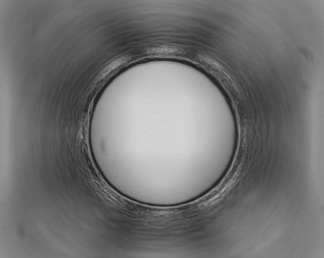 X0000113151017200909040927