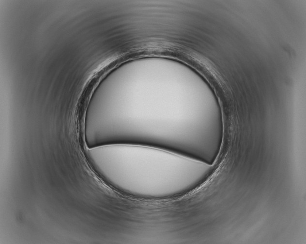 X0000113151018200909040927