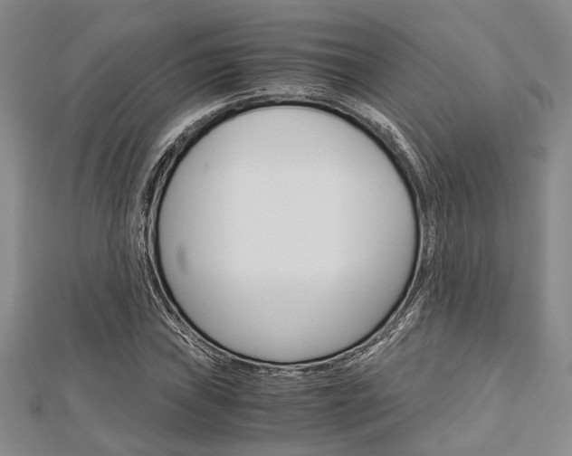 X0000113151019200909040927