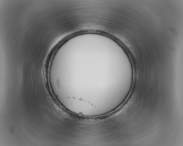 X0000113151022200909040927