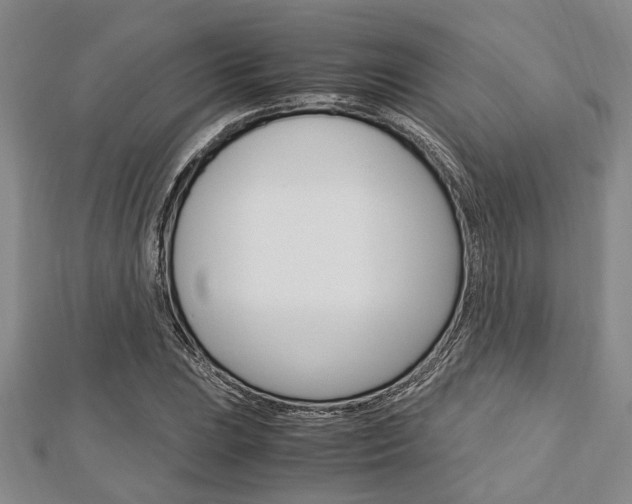 X0000113151023200909040927