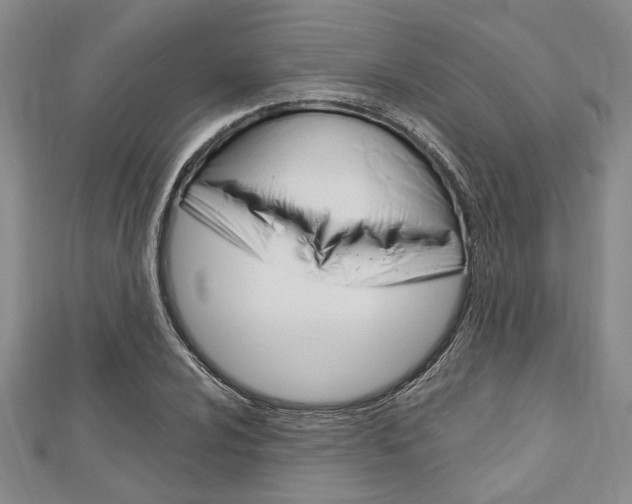 X0000113151024200909040927