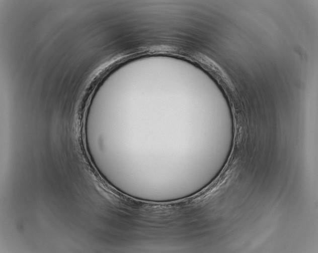 X0000113151027200909040928