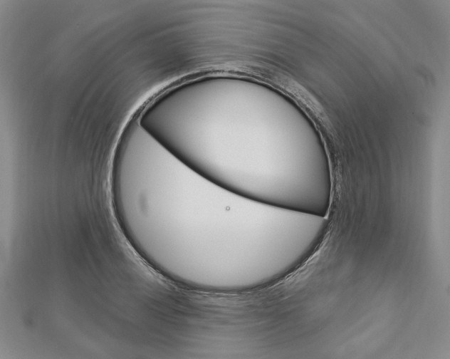 X0000113151028200909040928
