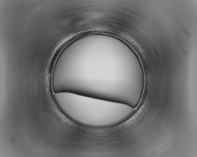 X0000113151029200909040928