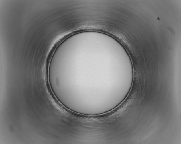 X0000113151030200909040928