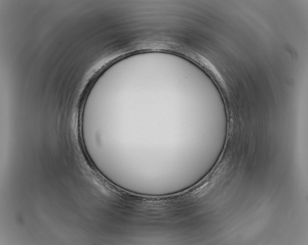 X0000113151035200909040928