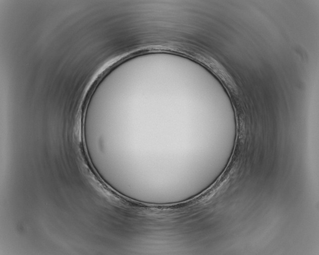 X0000113151036200909040928