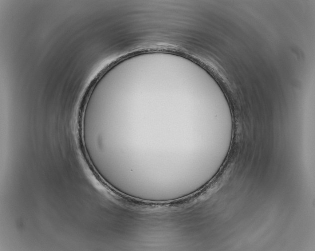 X0000113151038200909040928