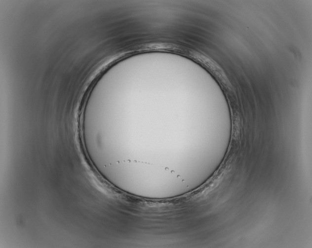 X0000113151039200909040928