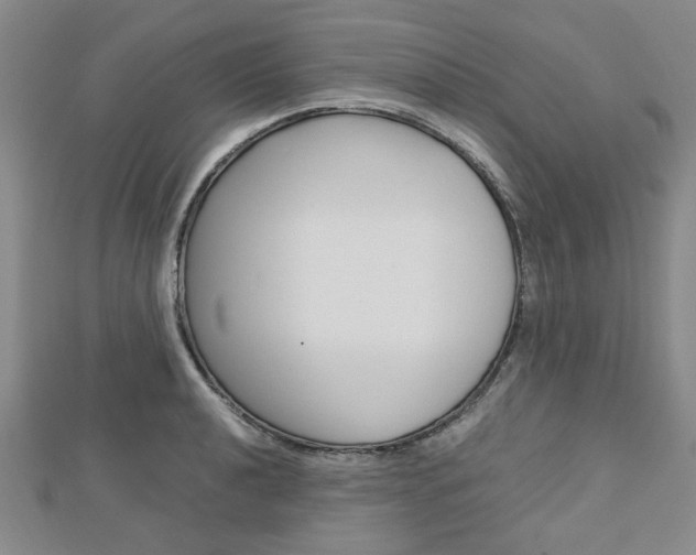 X0000113151040200909040928