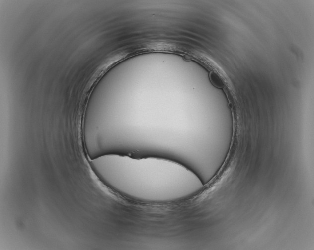X0000113151041200909040928