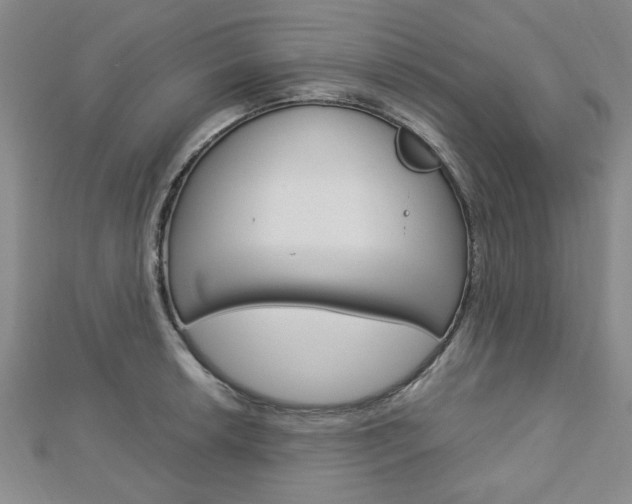 X0000113151042200909040928
