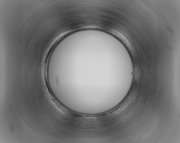 X0000113151043200909040928