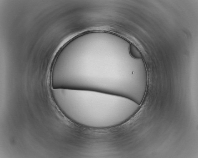 X0000113151044200909040928
