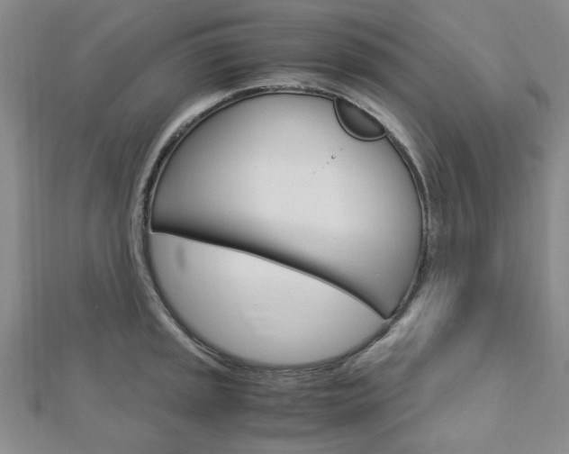X0000113151045200909040928