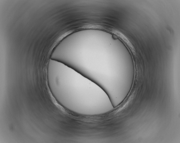 X0000113151049200909040928