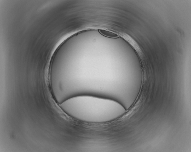 X0000113151052200909040928