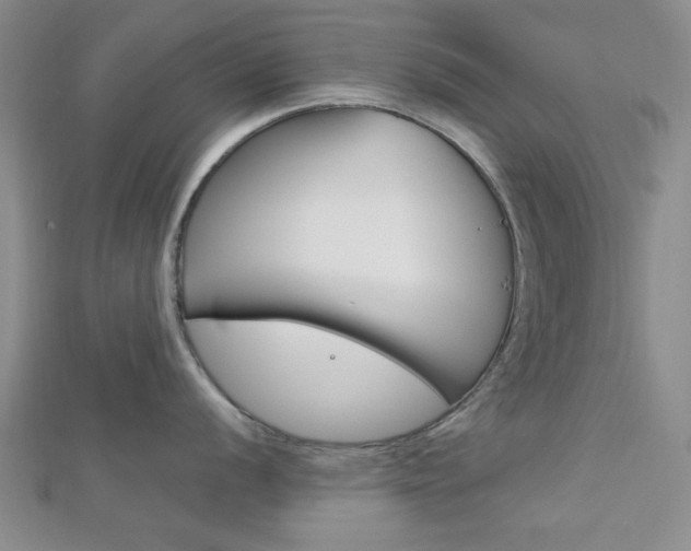 X0000113151056200909040928