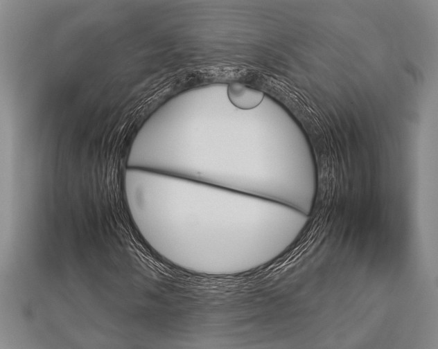 X0000113151058200909040927