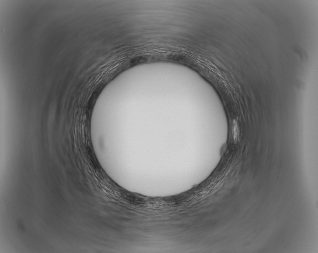 X0000113151059200909040927