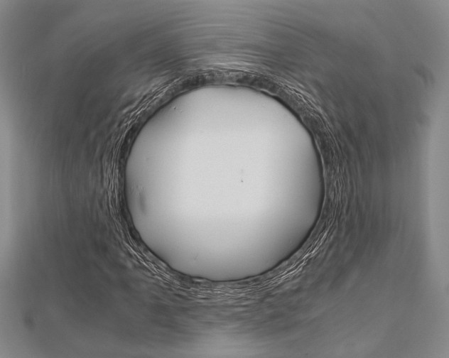 X0000113151061200909040927