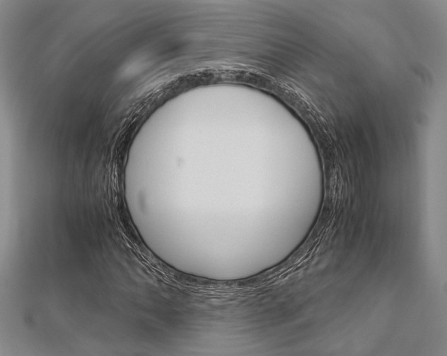 X0000113151062200909040927